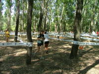 Homokháti Hungária Kupa 2011 - Rövidtávú, labirintus
